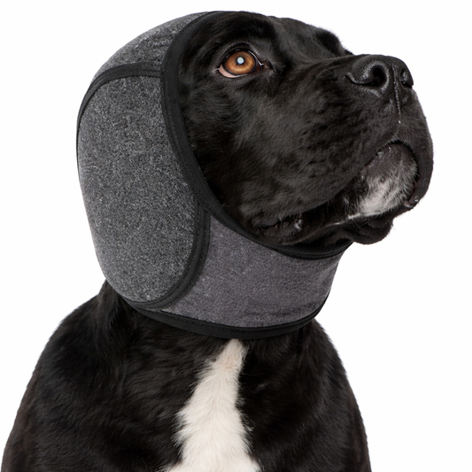 PawCalm - Die Ruhe für dein Haustier